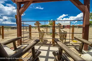35797 Hwy 6 & 24, Silt, CO 81652 - Photo 19