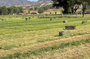 35797 Hwy 6 & 24, Silt, CO 81652 - Photo 97