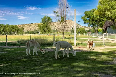 35797 Highway 6 & 24, Silt, CO 81652 - Photo 23