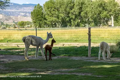 35797 Highway 6 & 24, Silt, CO 81652 - Photo 25