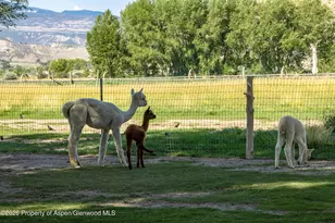 35797 Hwy 6 & 24, Silt, CO 81652 - Photo 25