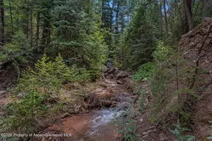 140 Elk Ln, Redstone, CO 81623 - Photo 43
