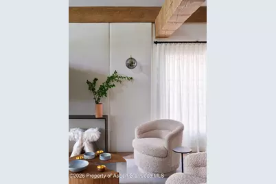 500 W Smuggler Street, Aspen, CO 81611 - Photo 15