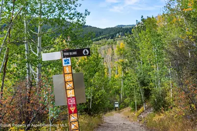 36 Ermine Lane, Snowmass Village, CO 81615 - Photo 83