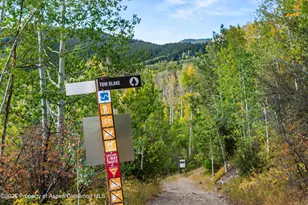 36 Ermine Ln, Snowmass Village, CO 81615 - Photo 83