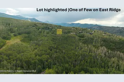 36 Ermine Lane, Snowmass Village, CO 81615 - Photo 7