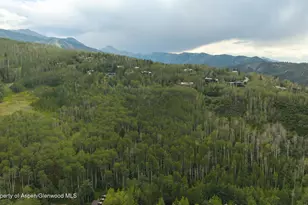 36 Ermine Ln, Snowmass Village, CO 81615 - Photo 7