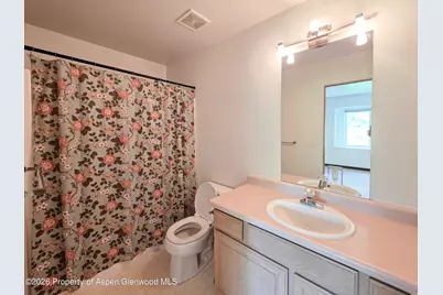 60 S 8th Street #301, Carbondale, CO 81623 - Photo 9