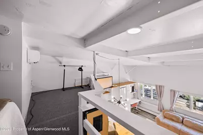412 N Mill Street #B9, Aspen, CO 81611 - Photo 9
