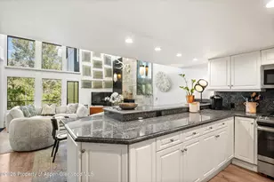 800 S Mill St, Aspen, CO 81611 - Photo 11