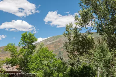 800 S Mill Street #101-C, Aspen, CO 81611 - Photo 25