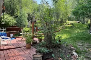 12 Phillips Hillside, Snowmass, CO 81654 - Photo 3