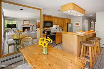 728 S Galena Street #202-B, Aspen, CO 81611 - Photo 19