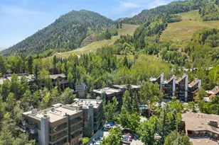 728 S Galena St, Aspen, CO 81611 - Photo 33