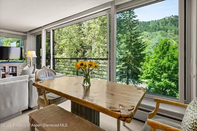 728 S Galena Street #202-B, Aspen, CO 81611 - Photo 17