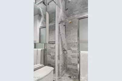 728 S Galena Street #202-B, Aspen, CO 81611 - Photo 31