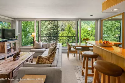 728 S Galena Street #202-B, Aspen, CO 81611 - Photo 15