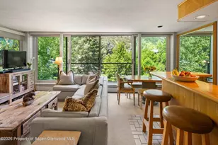 728 S Galena St, Aspen, CO 81611 - Photo 15