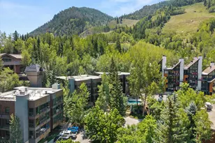 728 S Galena St, Aspen, CO 81611 - Photo 45