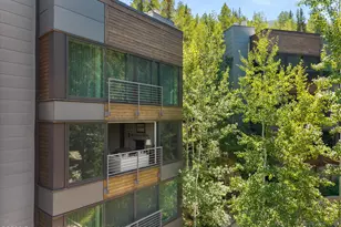 728 S Galena St, Aspen, CO 81611 - Photo 13