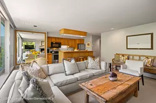 728 S Galena St, Aspen, CO 81611 - Photo 5