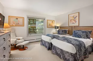 728 S Galena St, Aspen, CO 81611 - Photo 29