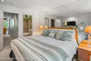728 S Galena St, Aspen, CO 81611 - Photo 23