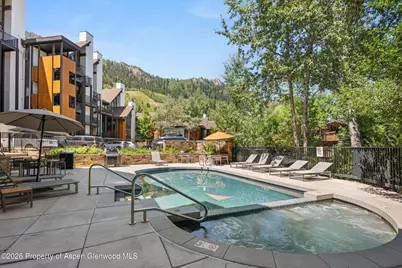 728 S Galena Street #202-B, Aspen, CO 81611 - Photo 39