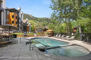 728 S Galena St, Aspen, CO 81611 - Photo 39