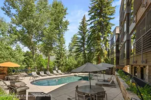 728 S Galena St, Aspen, CO 81611 - Photo 43