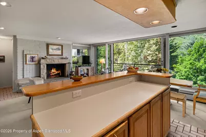 728 S Galena Street #202-B, Aspen, CO 81611 - Photo 21