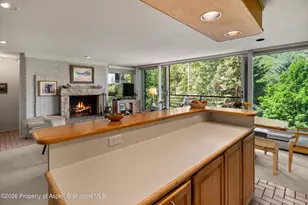 728 S Galena St, Aspen, CO 81611 - Photo 21