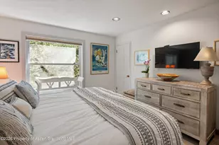 728 S Galena St, Aspen, CO 81611 - Photo 25