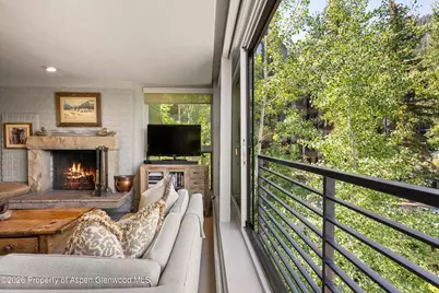 728 S Galena Street #202-B, Aspen, CO 81611 - Photo 9