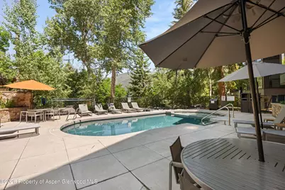728 S Galena Street #202-B, Aspen, CO 81611 - Photo 41