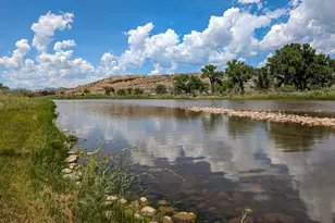29 Co Rd 335, New Castle, CO 81647 - Photo 5
