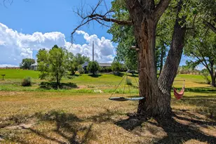 29 Co Rd 335, New Castle, CO 81647 - Photo 57