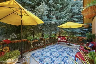 4132 Crystal Bridge Dr, Carbondale, CO 81623 - Photo 9