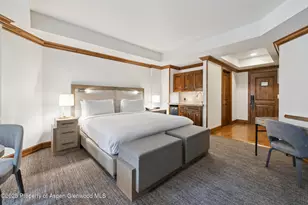 415 E Dean St Unit 20 Week 27, Aspen, CO 81611 - Photo 17
