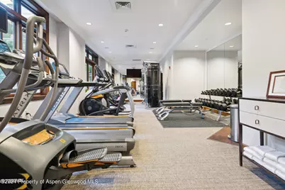 415 E Dean St., Unit 20, Week 27, Aspen, CO 81611 - Photo 29