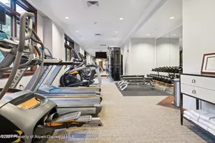 415 E Dean St Unit 20 Week 27, Aspen, CO 81611 - Photo 29
