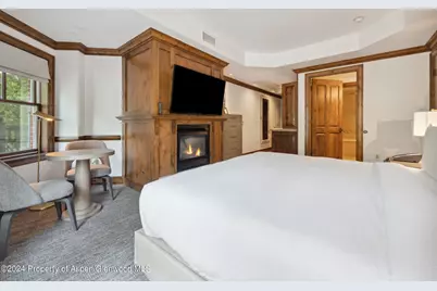 415 E Dean St, Unit 18, Week 28, Aspen, CO 81611 - Photo 15