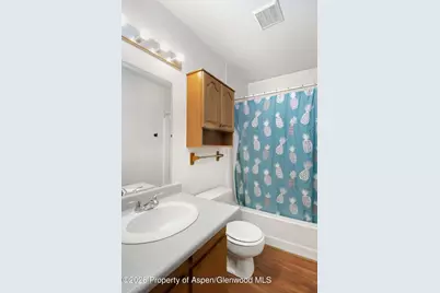 235 Cottonwood Drive #81652, New Castle, CO 81647 - Photo 11