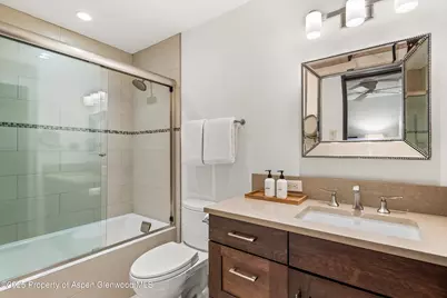 610 S West End Street #E103, Aspen, CO 81611 - Photo 19