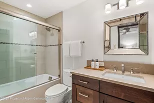 610 S West End St, Aspen, CO 81611 - Photo 19