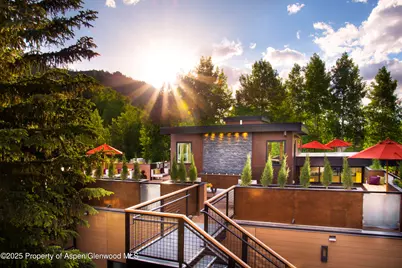 610 S West End Street #E103, Aspen, CO 81611 - Photo 23