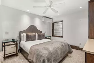 610 S West End St, Aspen, CO 81611 - Photo 15