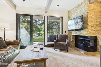 610 S West End Street #E103, Aspen, CO 81611 - Photo 5