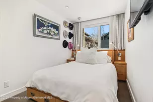 100 E Cooper Ave, Aspen, CO 81611 - Photo 7