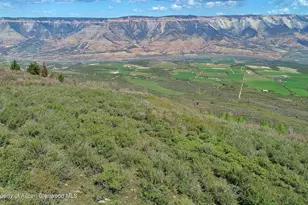 5708 Co Rd 301, Parachute, CO 81635 - Photo 47